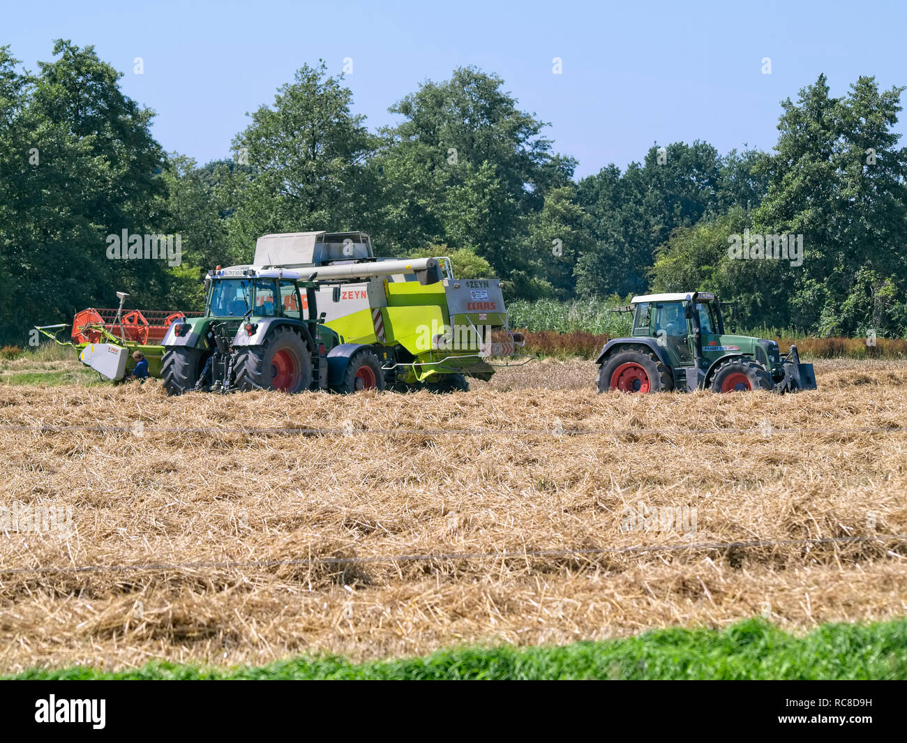 Moissonneuse-batteuse, d'être coincé dans un champ de céréales de Niedersachsen près de Barum, Elbmarsch, Allemagne. Banque D'Images
