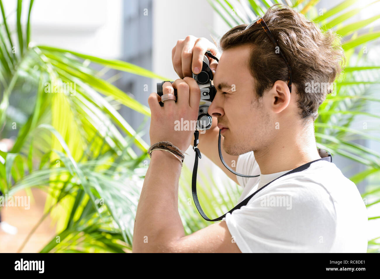 Man taking photo, usine de palm en arrière-plan Banque D'Images