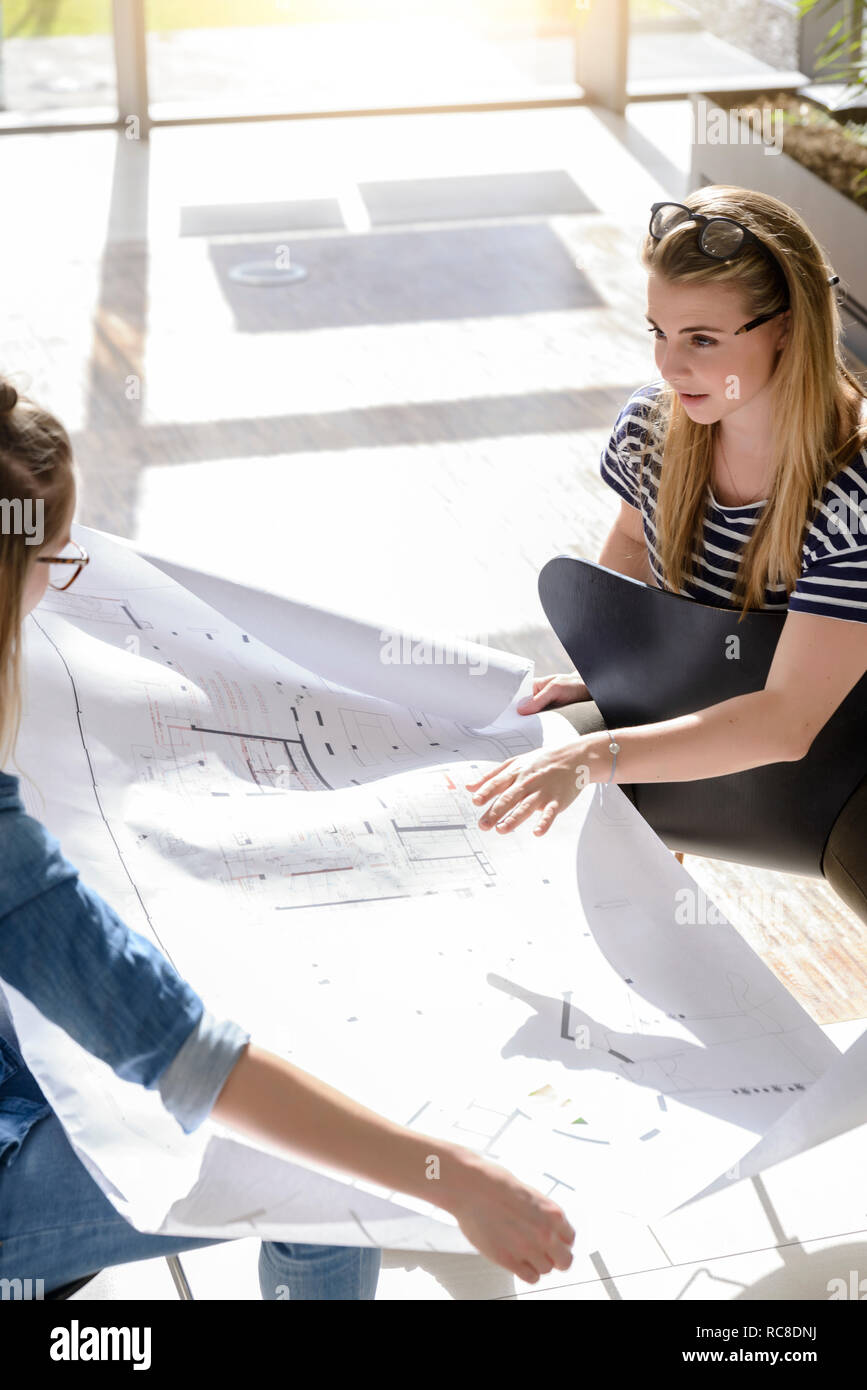 Remue-méninges sur les collègues des graphiques dans le plein soleil Banque D'Images
