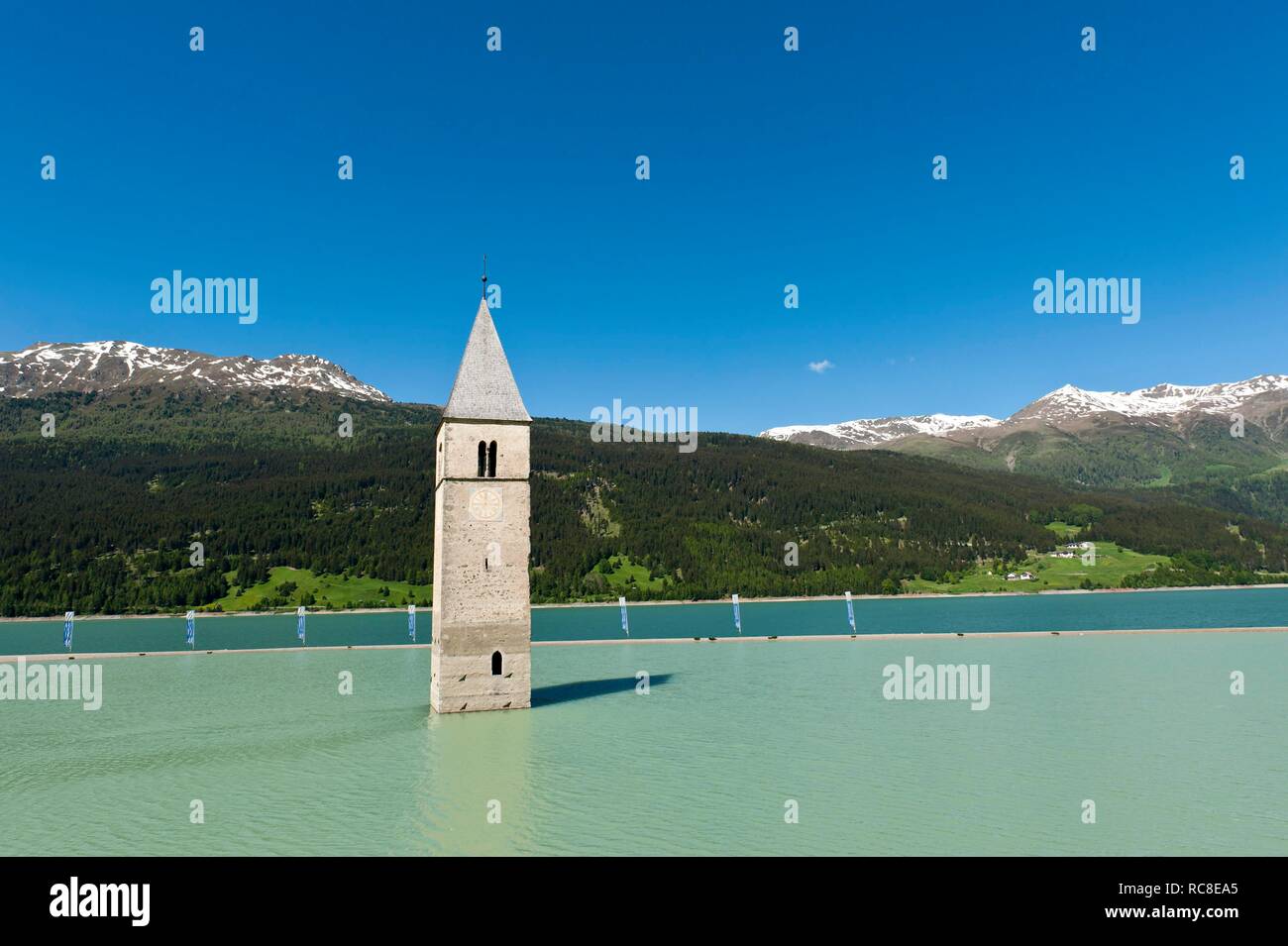 Réservoir, Reschensee, Lago di Resia, clocher de l'église dans le lac, dans la région de Graun Vinschgau, Curon Venosta, Vinschgau, Val Venosta Banque D'Images