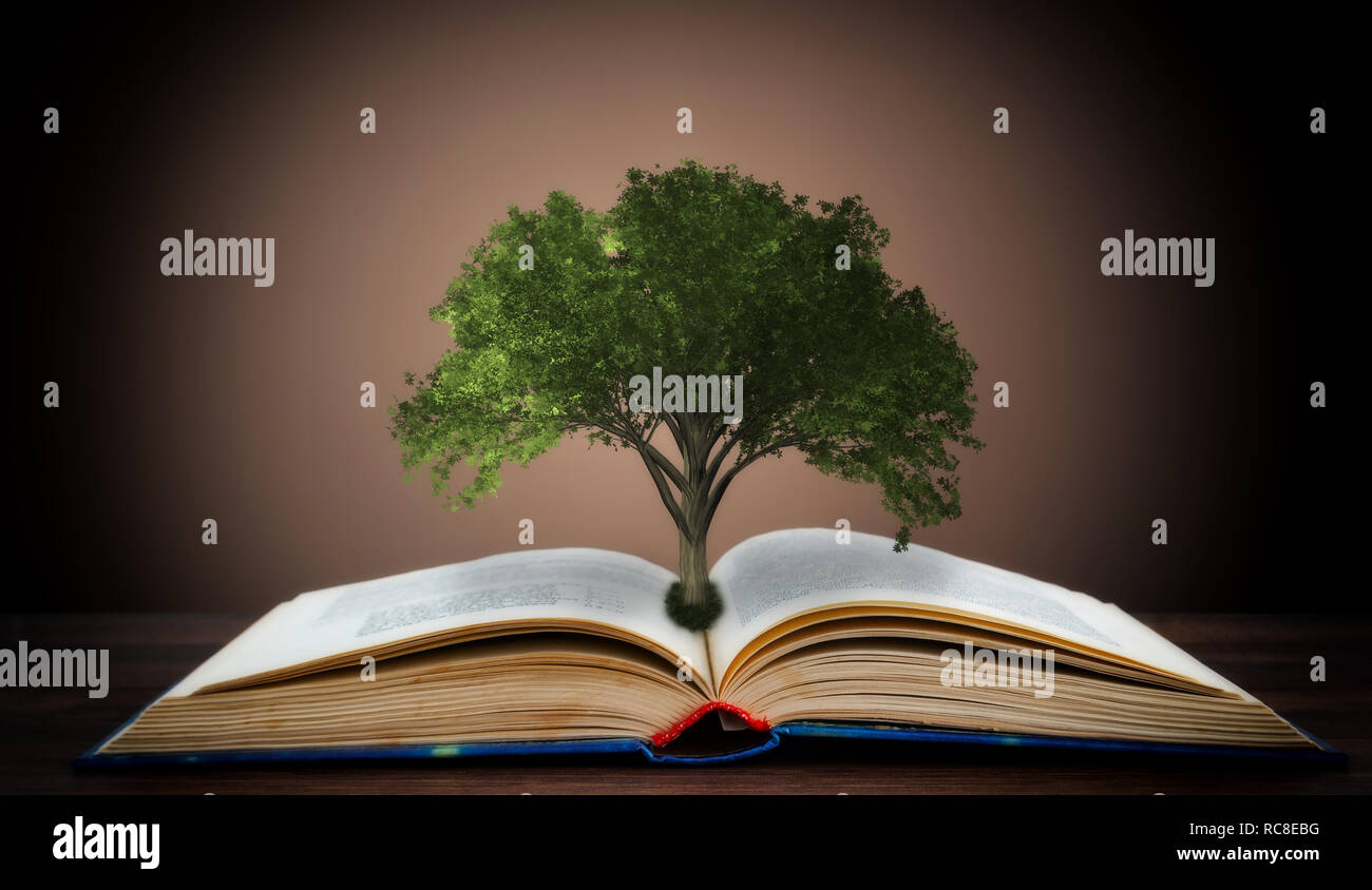 Le concept d'un livre ou d'un arbre de la connaissance avec un arbre qui grandit à partir d'un livre ouvert Banque D'Images