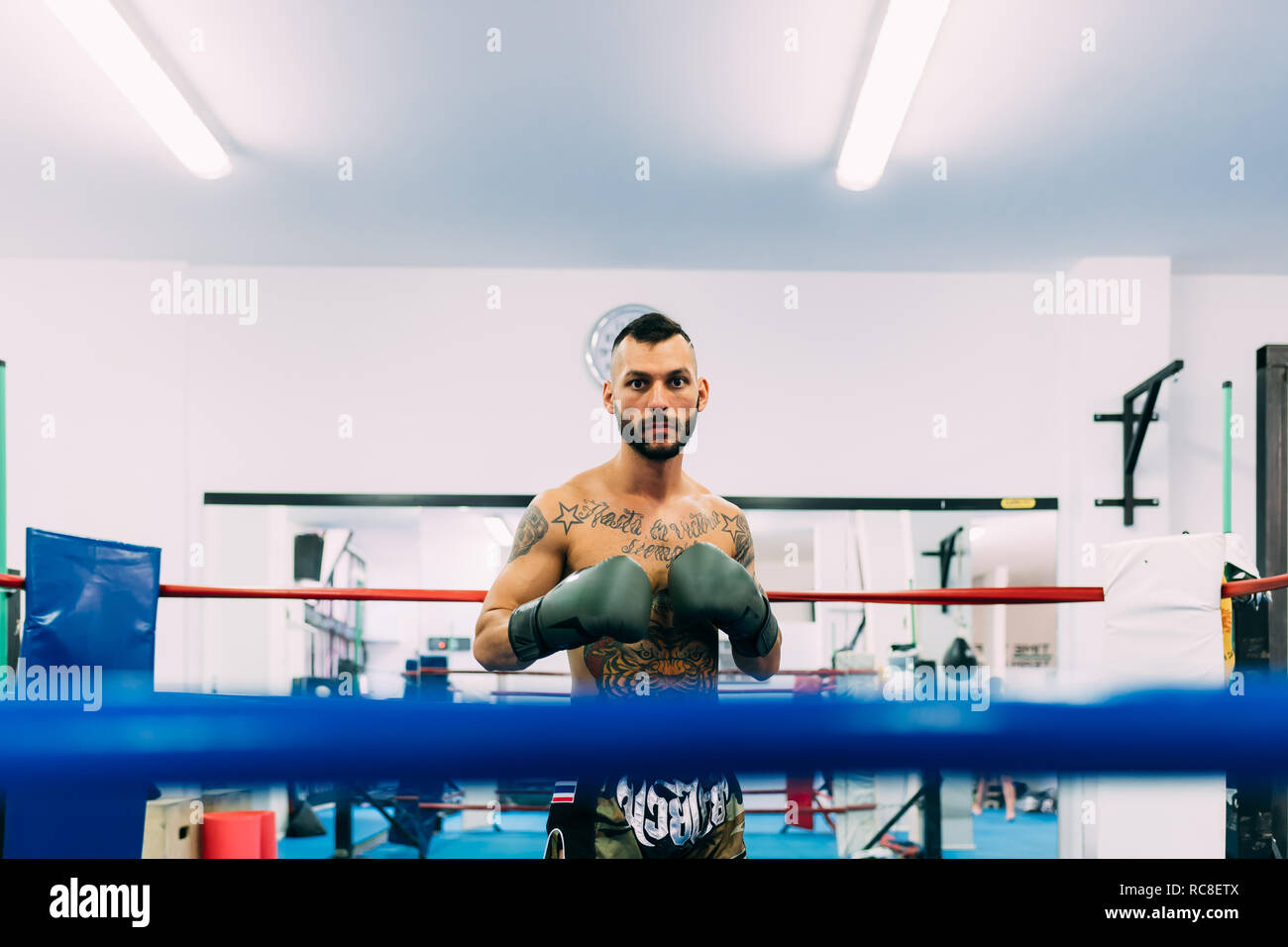 Portrait of male boxer en ring de boxe Banque D'Images