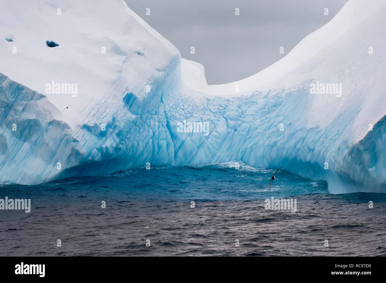 Les icebergs, les îles Orcades du Sud, Sud de l'océan, l'Antarctique Banque D'Images