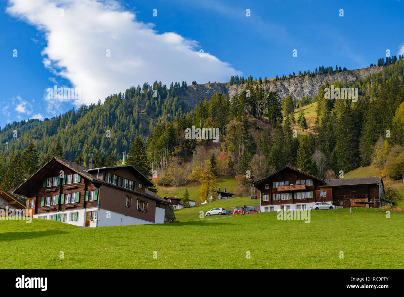 Maisons de style suisse traditionnel sur les vertes collines avec des forêts dans les Alpes Suisse, Europe Banque D'Images