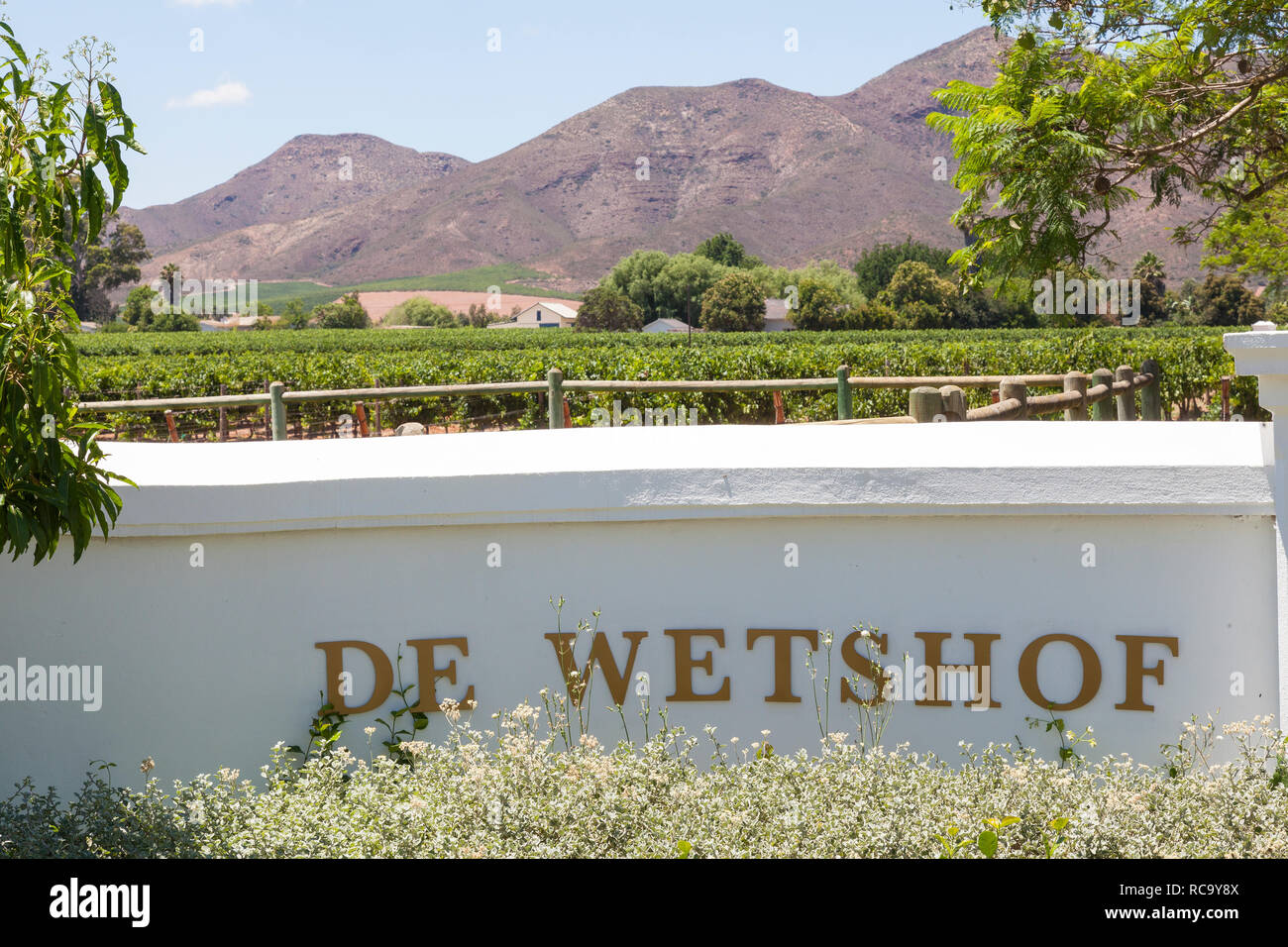 De Wetshof Wine Estate, Route 62, Robertson Wine Valley, Western Cape Winelands, Afrique du Sud, panneau d'entrée avec vue sur le vignoble et les montagnes Banque D'Images