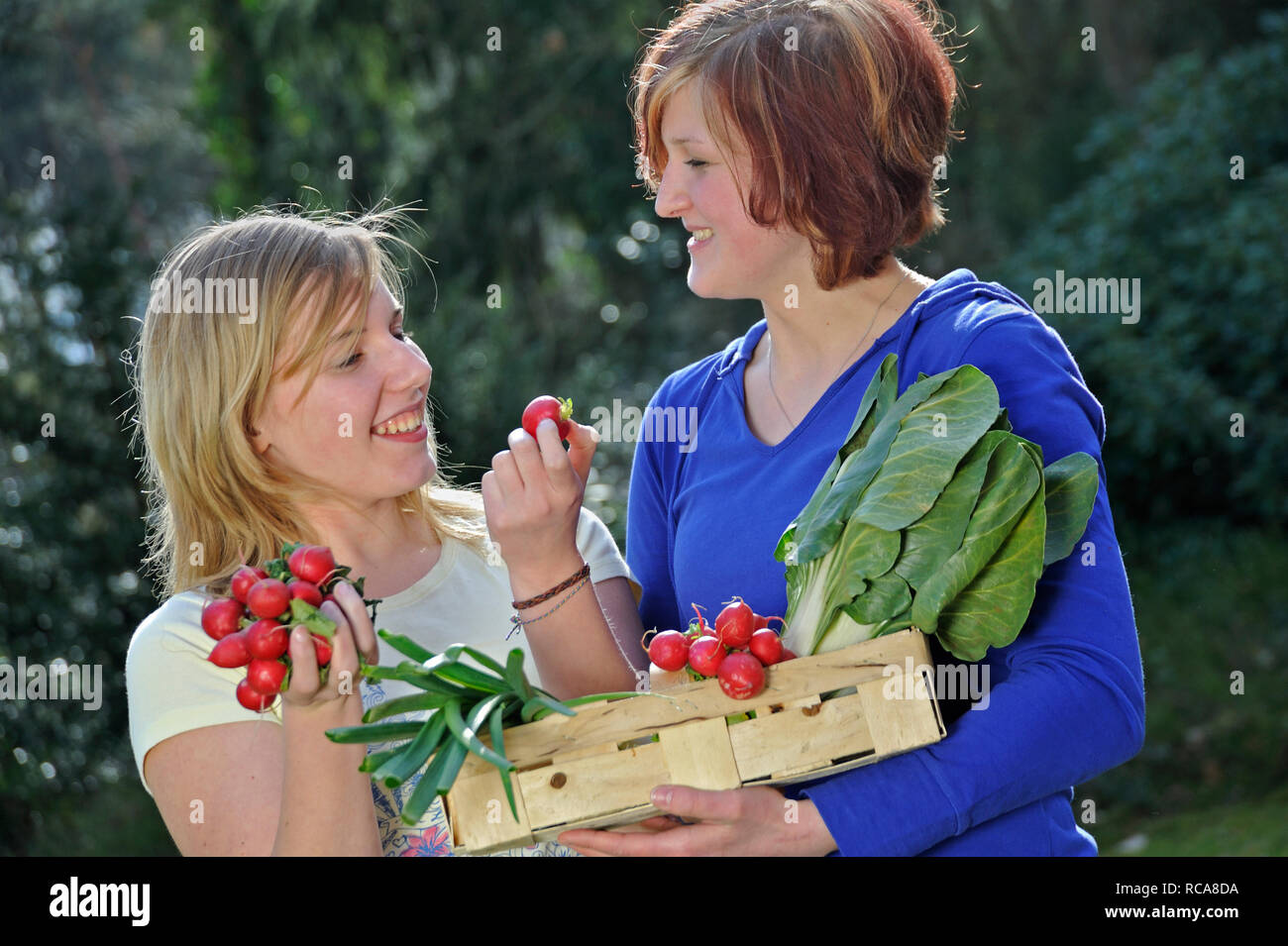 Gemüsekorb jungendliche zwei Frauen mit im Arm - junges Gemüse | deux jeunes femmes avec le panier de légumes Banque D'Images