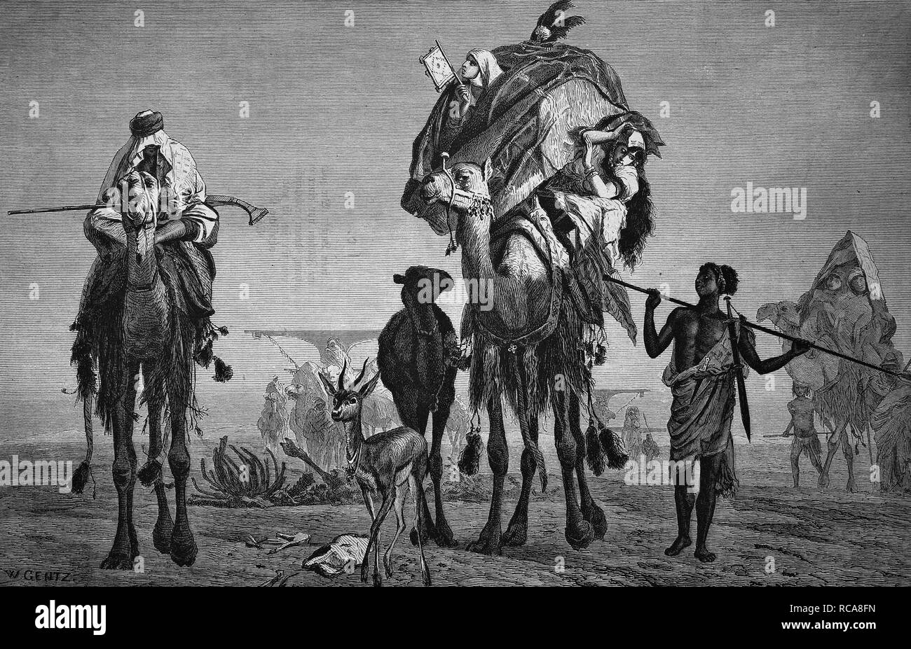 Harem d'errance un bédouin dans le désert, historique gravure sur bois, vers 1870 Banque D'Images