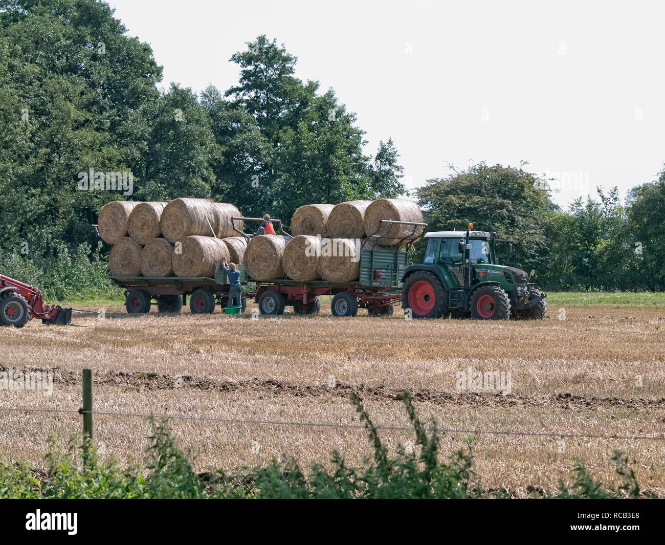 Ramasser des balles de paille dans un champ de chaume en Niedersachsen près de Barum, Elbmarsch, Allemagne. Banque D'Images