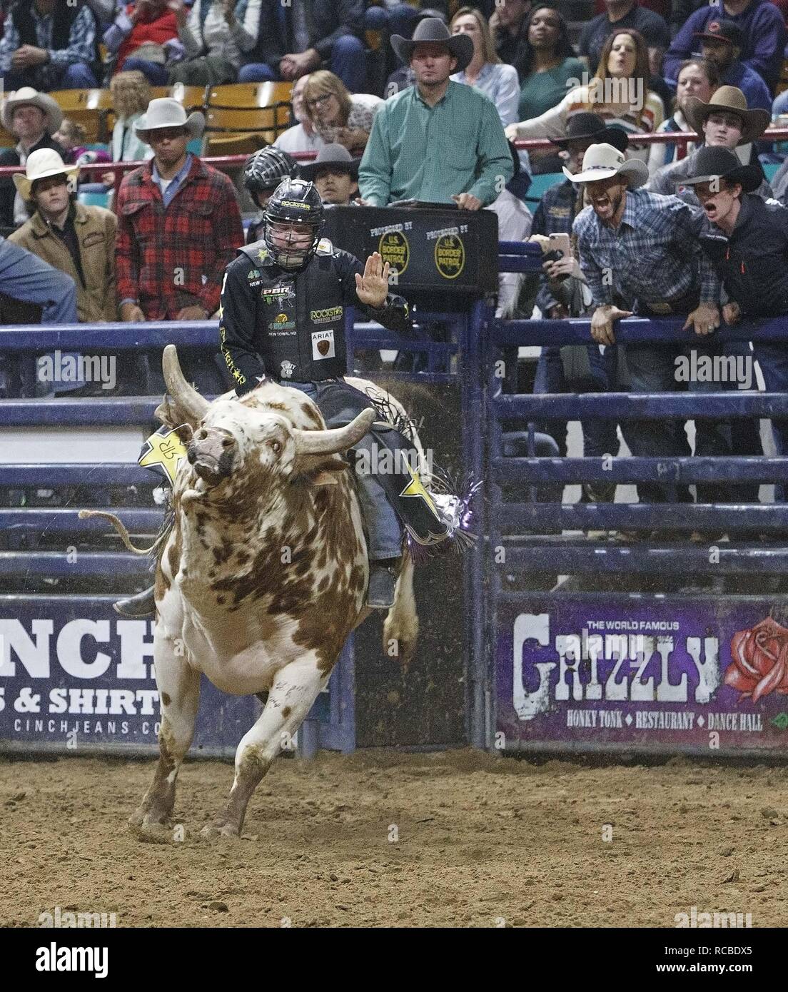 Denver, Colorado, États-Unis. 14 Jan, 2019. Bull Rider MATT TRIPLETT, de Columbia Falls, TM rides Kat courts pendant le 25. Rodéo mexicain au National Western Stock Show du Denver Coliseum lundi soir. Credit : Hector Acevedo/ZUMA/Alamy Fil Live News Banque D'Images