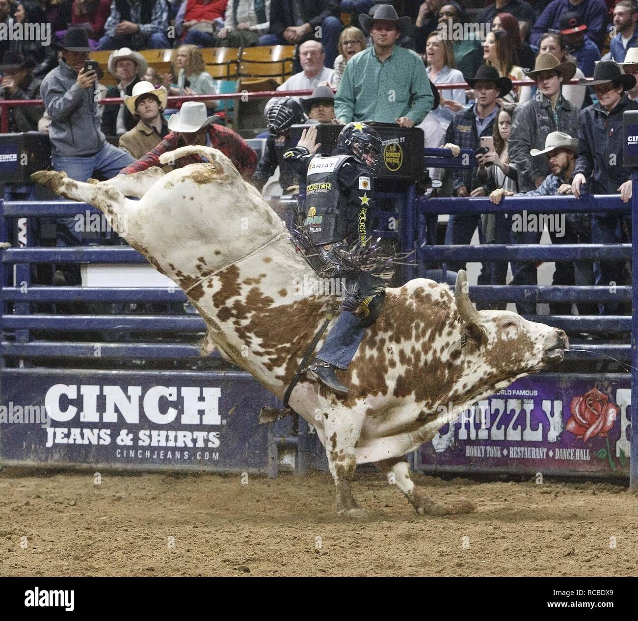 Denver, Colorado, États-Unis. 14 Jan, 2019. Bull Rider MATT TRIPLETT, de Columbia Falls, TM rides Kat courts pendant le 25. Rodéo mexicain au National Western Stock Show du Denver Coliseum lundi soir. Credit : Hector Acevedo/ZUMA/Alamy Fil Live News Banque D'Images