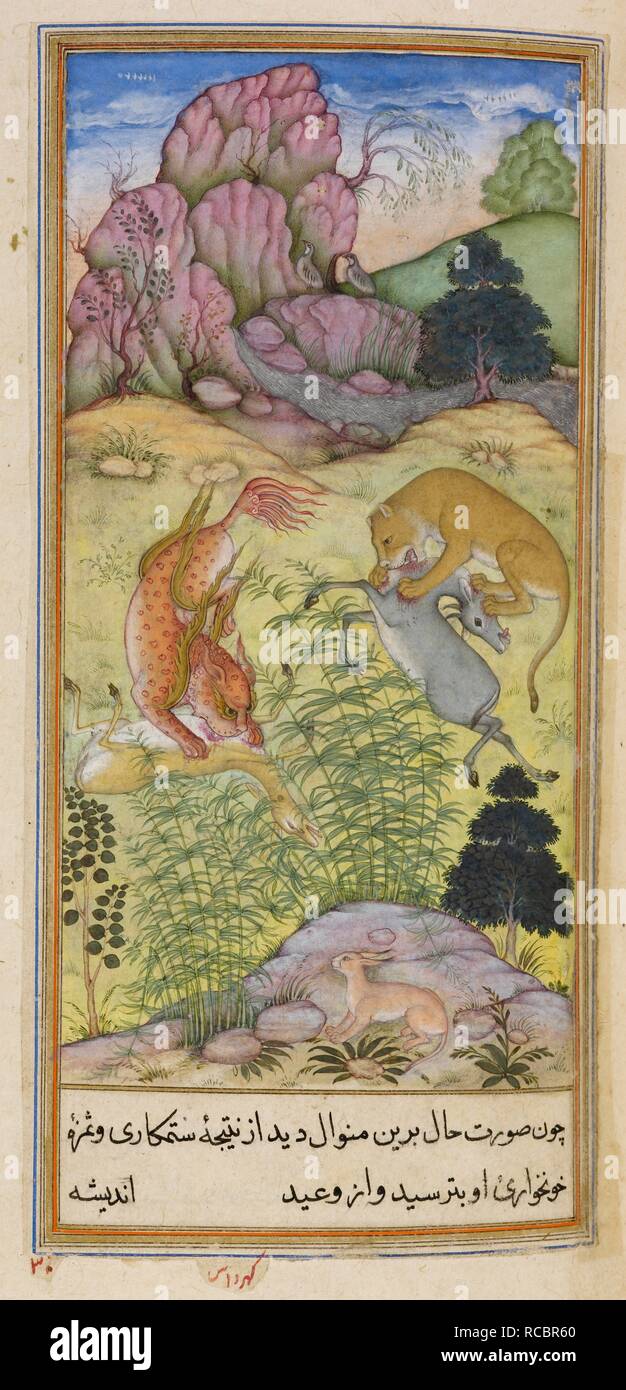 Le lynx et le lion. L'Anvar-i Suhayli. L'Inde, 1610-1611. Le lynx et le lion. Une peinture miniature d'un manuscrit du 17ème siècle de l'Anvar-i Suhayli, une version de l'Kalila va Dimna fables. Image prise à partir de l'Anvar-i Suhayli. Publié à l'origine/produit en Inde, 1610-1611. . Source : ajouter. 18579, f.337. Langue : Persan. Auteur : Husayn Va'iz Kashifi. Guhardas. Banque D'Images