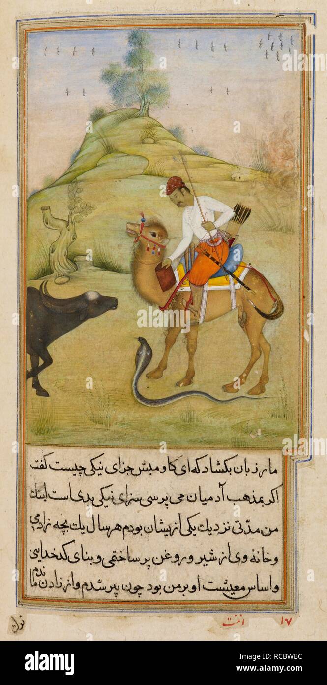 Le camel rider. L'Anvar-i Suhayli. L'Inde, 1610-1611. Le camel rider, le serpent et le bison. Une peinture miniature d'un manuscrit du 17ème siècle de l'Anvar-i Suhayli, une version de l'Kalila va Dimna fables. Image prise à partir de l'Anvar-i Suhayli. Publié à l'origine/produit en Inde, 1610-1611. Source : ajouter. 18579, f.169v. Langue : Persan. Auteur : Husayn Va'iz Kashifi. Anant. Banque D'Images