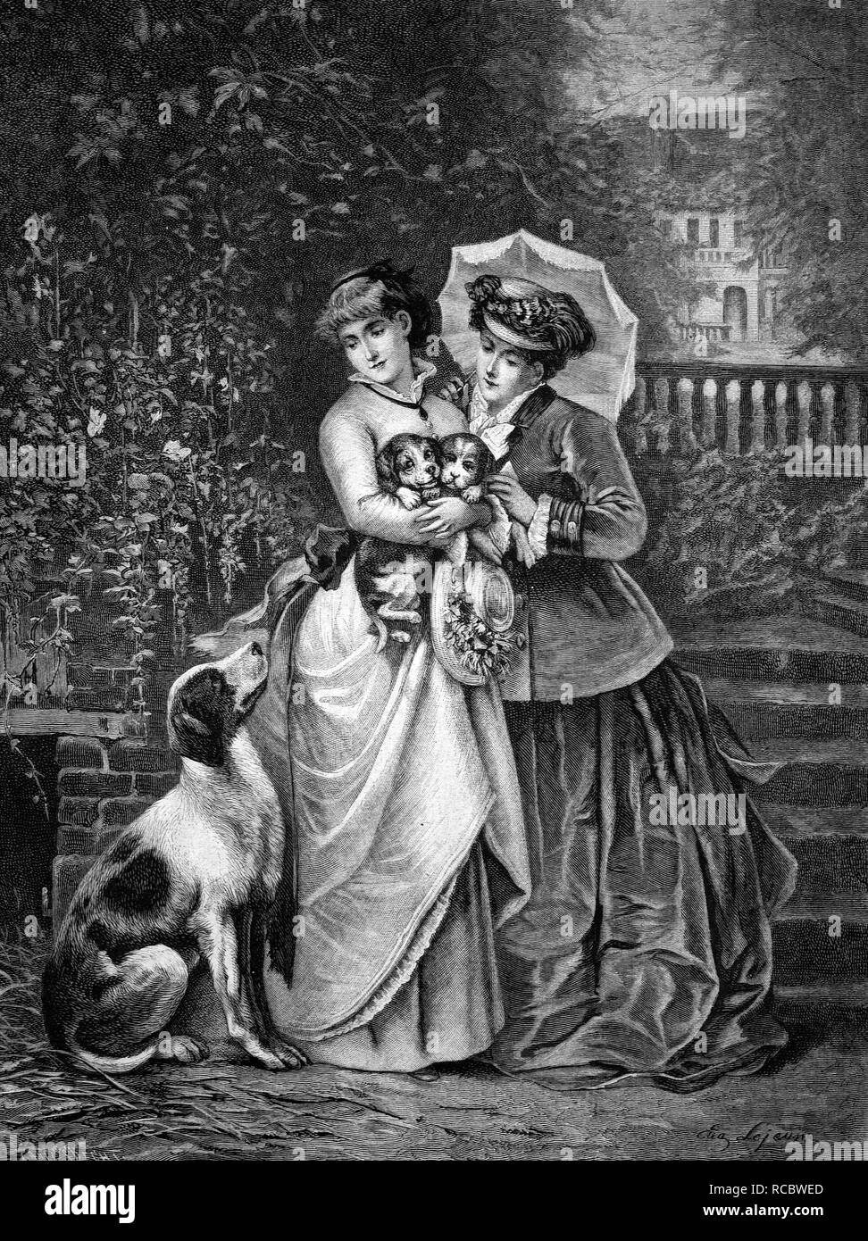Les femmes avec les chiots, gravure de 1883 historique Banque D'Images