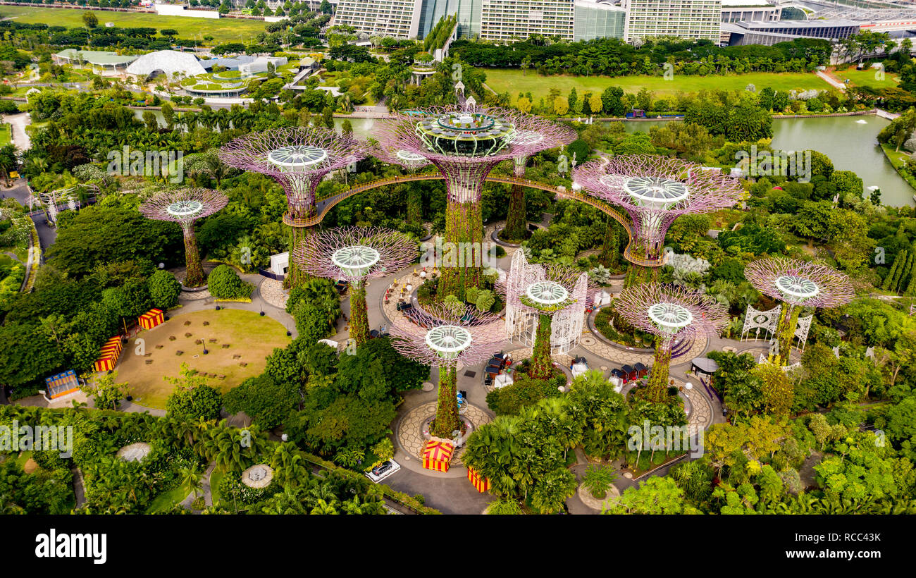Supertree Grove, jardins de la baie, à Singapour Banque D'Images