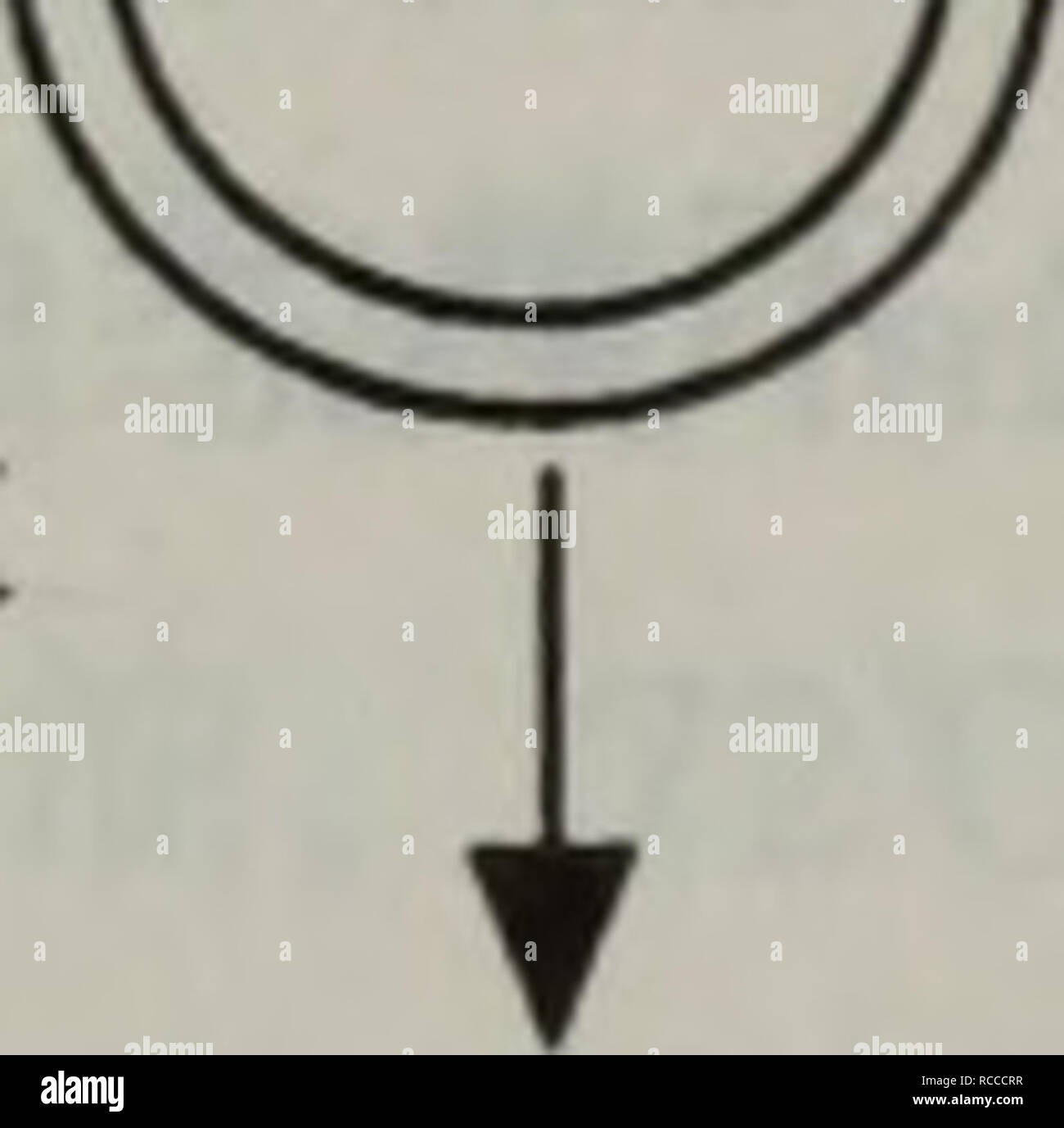 L Arn Adn Ji Ji Ji Shu Shi Yan Ben Botanique A Aeaea Cae µ Cec E C C Kromeriz37 1 E A A Epcraº T C C Cc 04 05 ºaea A Corva Ae A C Cae A Taqeae Ae E C C A Ae Ae 1 Veuillez Noter Que Ces Images