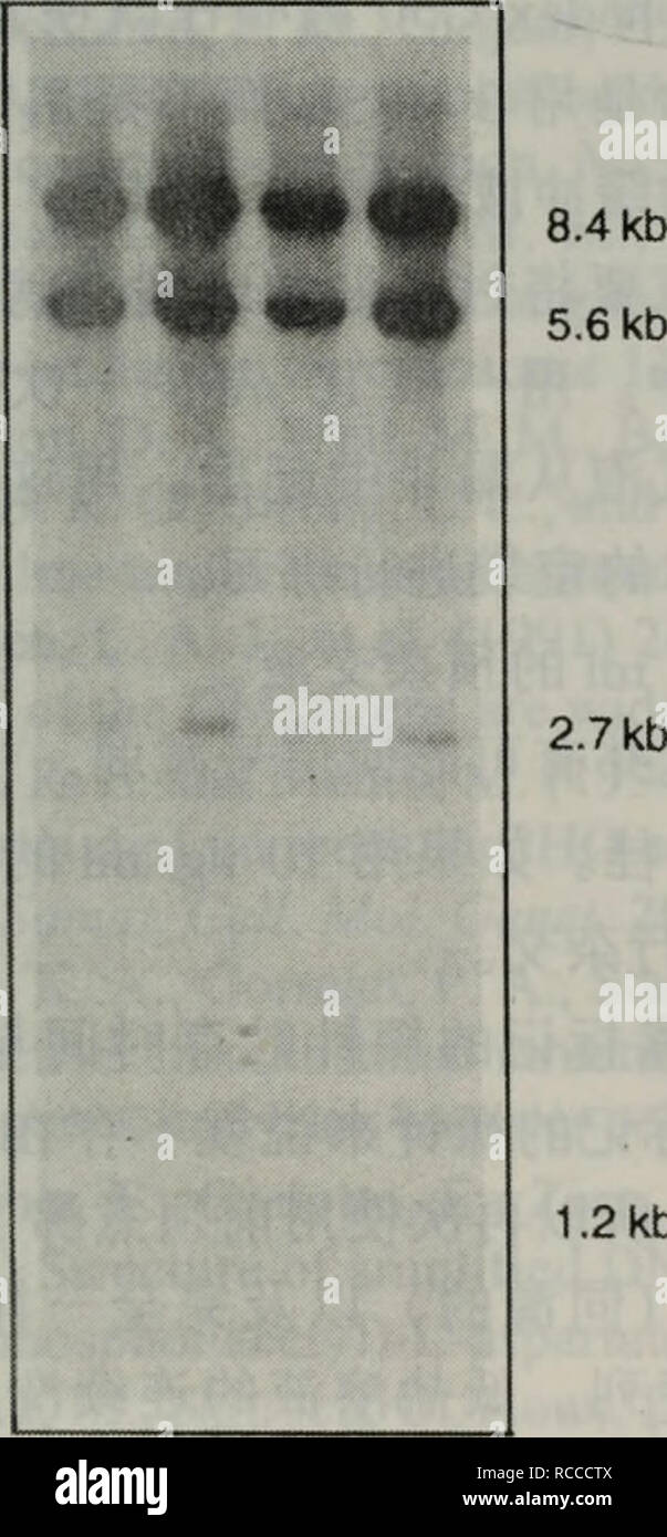 30 Mg 500 Mg Banque D Image Et Photos Alamy