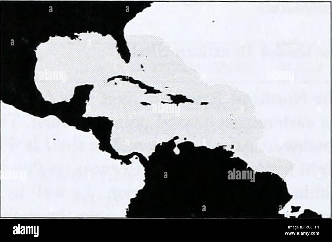 . La diversité de la mer : une approche régionale. Le WCMC. Série 4 de la biodiversité . Caraïbes Anguilla (à la France), Antigua-et-Barbuda, Aruba (Pays-Bas), au Bahamas, Barbade, Belize, îles Vierges britanniques (à la France), les îles Caïmans (à la France), Colombie, Costa Rica, Cuba, Dominique, République dominicaine, Guyane française (de France), la Grenade, la Guadeloupe (France), Guatemala, Guyana, Haïti, Honduras, Jamaïque, Martinique (France), Mexique, Montserrat (à la France), les Antilles néerlandaises (Pays-Bas), au Nicaragua, Panama, Puerto Rico, St Christopher et Nevis, Sainte Lucie, Saint Vincent et les Grenadines, Suriname, T Banque D'Images
