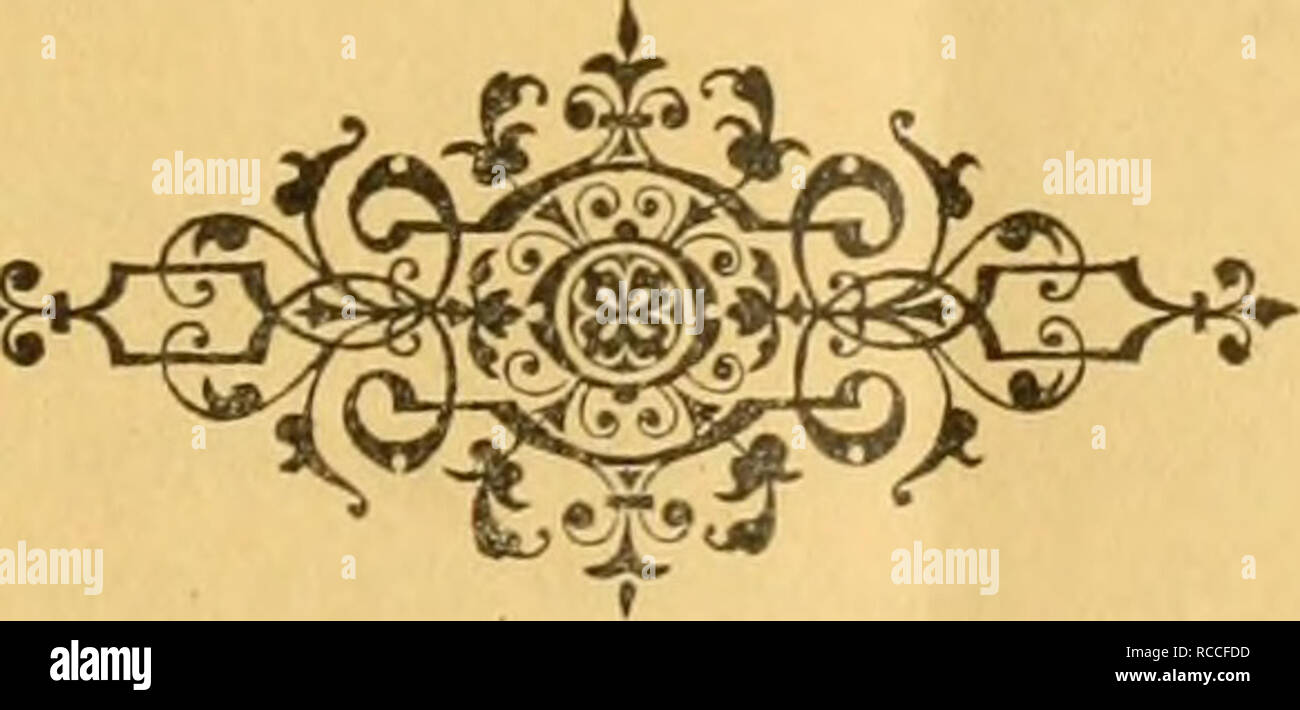 Ditteri Del Messico Diptera Mexique P S J 4 L Mj Ss Co Une Kelander L A Partir De La Bibliotheque De Sat A A M Ald Aich P Rte I Stratiomyidae Syrphidae