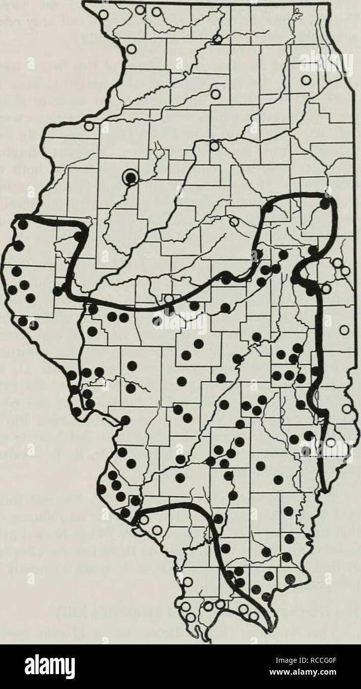 . La distribution des cigales dix dans l'Illinois. Cigale périodique. à Urbana, Champaign Comté, sur un Liriodendron tree, un arbre non indigènes plantés il y a 8 ans, previ- ment. Dix-sept ans plus tôt en 1953 lorsque cette couvée est apparu, un traînard a également été constaté à Urbana par M. R. J. Dysart le 12 août. Malgré le peu d'enregistrements dans Champaign comté, il est possible que le Great Eastern Brood est produite et persiste encore en petit nombre dans le Grand Village d'Urbana Champaign Comté de l'Est et qui devrait être inclus dans la liste des régions habitées par ce couvain. Les 17 années de Great Eastern Banque D'Images