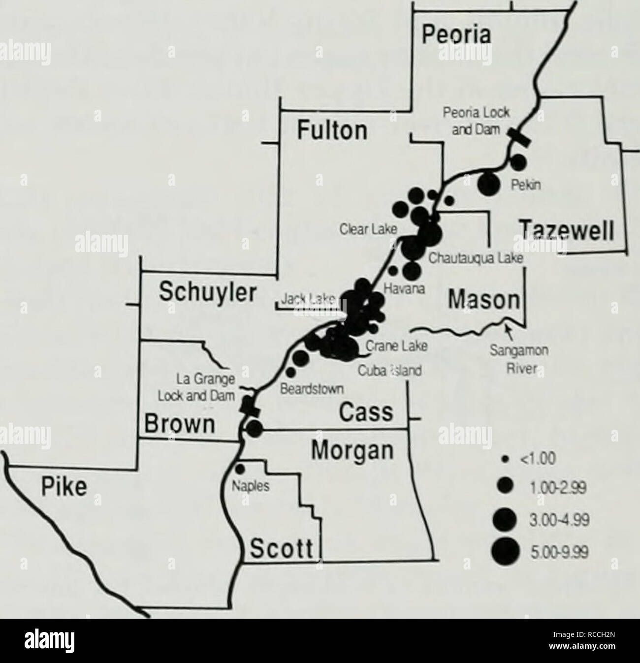 . Distribution et l'abondance de l'hiver, les populations de pygargues à tête blanche dans l'Illinois. Pygargue à tête blanche. Fig. 24.-nombre moyen ol b.iUl eagles i est uilliiii,recensement llie Illinois inférieur à 299 % Ri" • innied inenior-99 3,00-4,60 par une er Région. 1972-1986. Fig. 22.-Fastern Senacliw sh, en'ine L.tk La densité estimée de pygargues à tête blanche dans la région de la rivière de l'Illinois inférieur ( en moyenne).5.i par mile river ou 0.49 par squaie mile d'habitats humides. La densité moyenne par scjuare m des zones humides (0,49) dans cette région a été slighth plus élevé que la valeur lor la ('entrale et l'pj)ei rivière Illinois régions (0,47) Banque D'Images