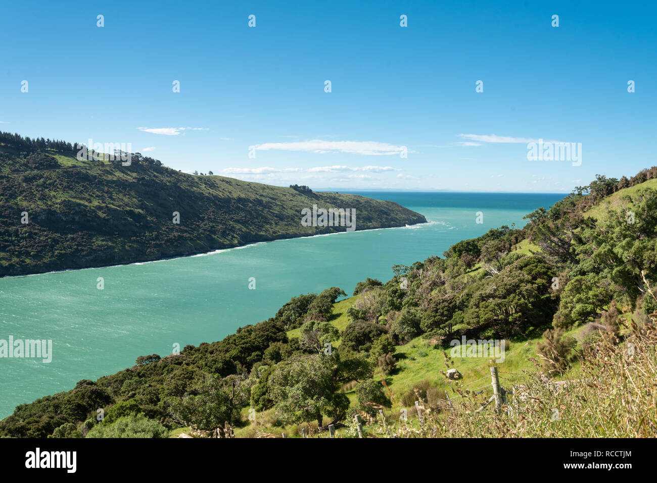 Paysages du littoral de la péninsule de Banks, île du Sud, Nouvelle-Zélande Banque D'Images