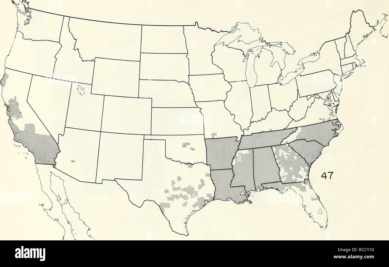 . Cartes de répartition de certains insectes nuisibles aux États-Unis. Insectes nuisibles aux États-Unis ; les insectes nuisibles des cartes. - 26 - Camion INSECTES CULTURE costirostris Listroderes obliquus (charançon de légumes). Zonosemata electa (mouche du poivre). Veuillez noter que ces images sont extraites de la page numérisée des images qui peuvent avoir été retouchées numériquement pour plus de lisibilité - coloration et l'aspect de ces illustrations ne peut pas parfaitement ressembler à l'œuvre originale.. United States. La Division du contrôle des parasites des végétaux. [Washington, de la Division du contrôle des ravageurs des plantes, la recherche agricole publique] Banque D'Images