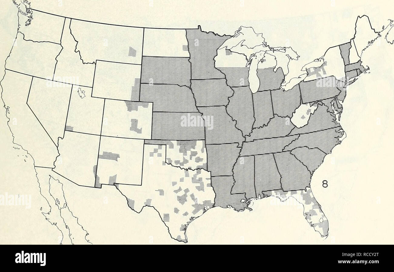 . Cartes de répartition de certains insectes nuisibles aux États-Unis. Insectes nuisibles aux États-Unis ; les insectes nuisibles des cartes. Diabrotica undecimpunctata howardi (sud de la chrysomèle des racines du maïs). Veuillez noter que ces images sont extraites de la page numérisée des images qui peuvent avoir été retouchées numériquement pour plus de lisibilité - coloration et l'aspect de ces illustrations ne peut pas parfaitement ressembler à l'œuvre originale.. United States. La Division du contrôle des parasites des végétaux. [Washington, de la Division du contrôle des ravageurs des plantes, la recherche agricole publique] Banque D'Images