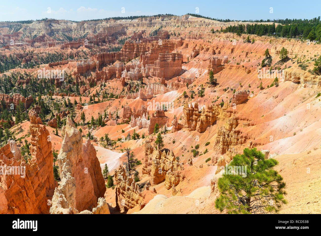 Le parc national de Bryce Canyon un Banque D'Images