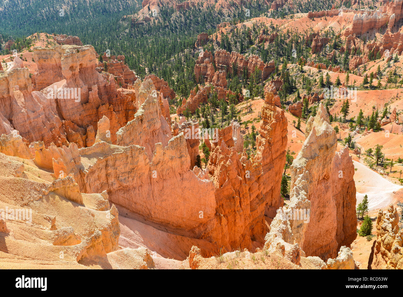 Bryce Canyon National Park 22 Banque D'Images