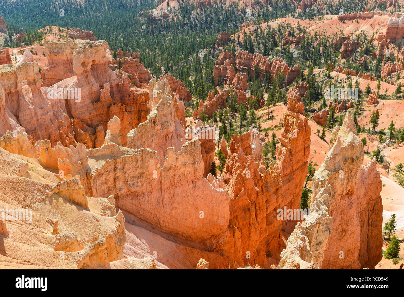 Bryce Canyon National Park 21 Banque D'Images