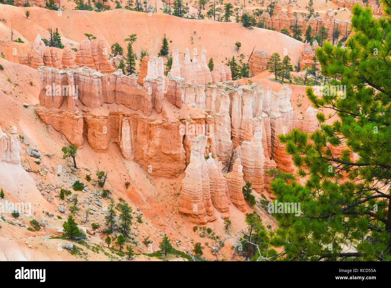 Bryce Canyon National Park 19 Banque D'Images