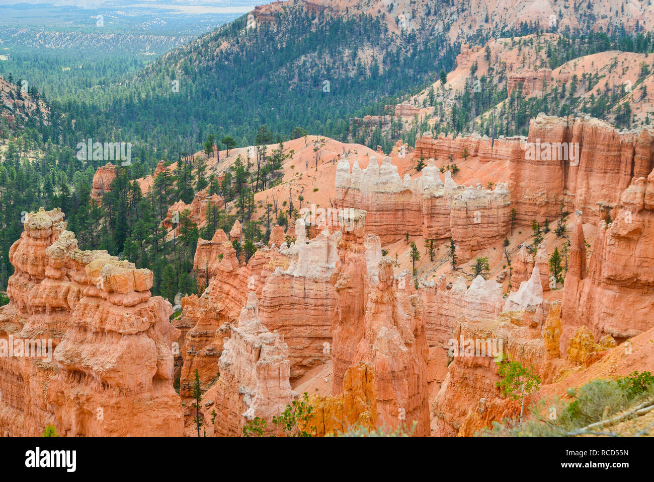 Bryce Canyon National Park 16 Banque D'Images