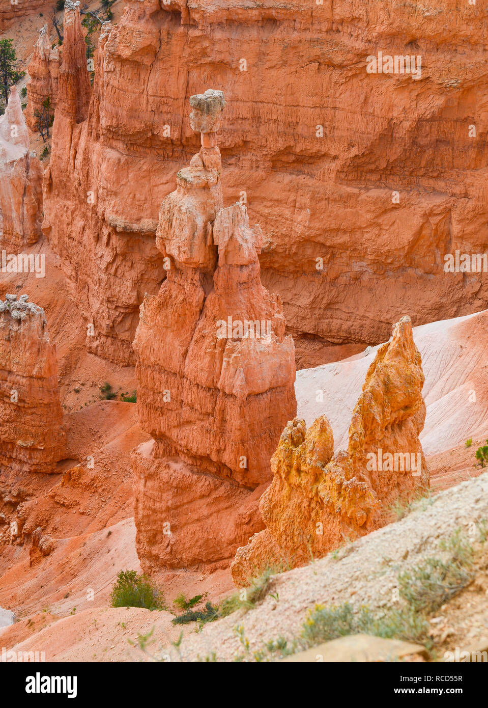 Bryce Canyon National Park 18 Banque D'Images