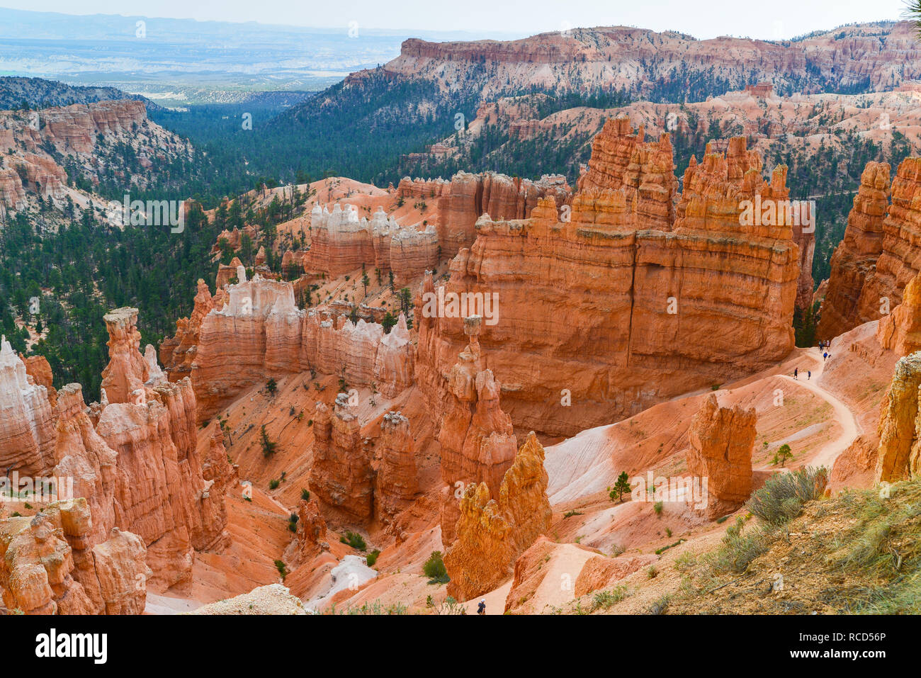 Le Parc National de Bryce Canyon Banque D'Images