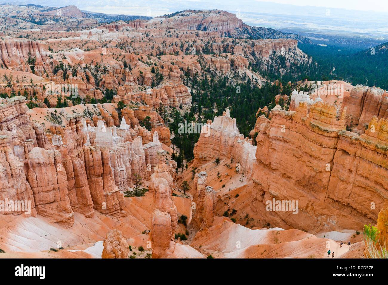 Bryce Canyon National Park 4 Banque D'Images