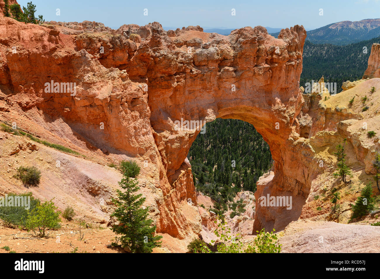 Bryce Canyon National Park 3 Banque D'Images