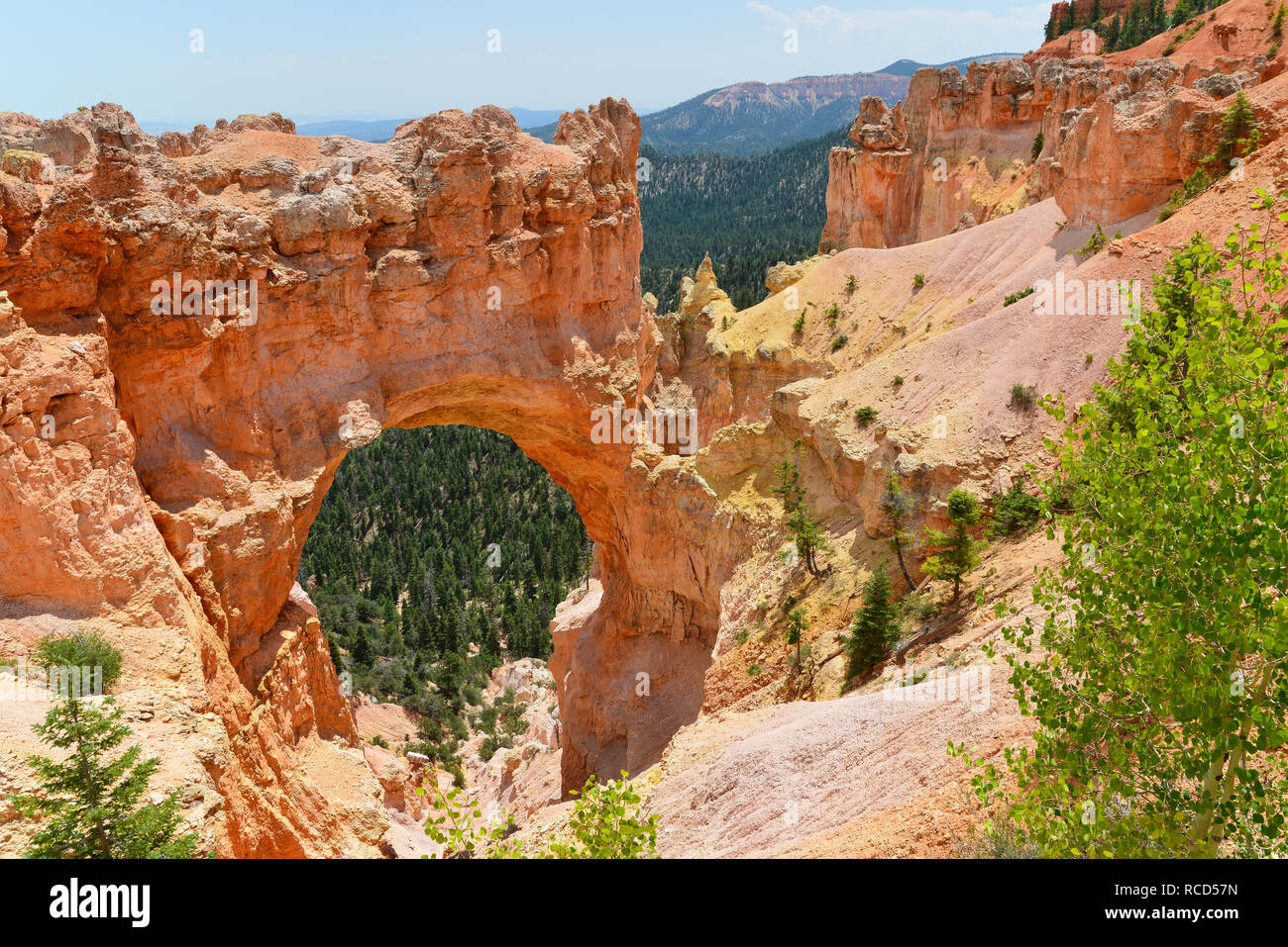 Bryce Canyon National Park 2 Banque D'Images