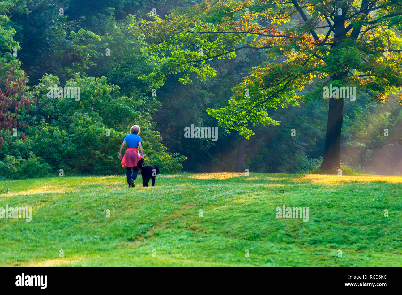 Une femme et son chien à pied dans un parc sur une chaude matinée. La végétation luxuriante offrent un cadre agréable pour cette sortie. Banque D'Images