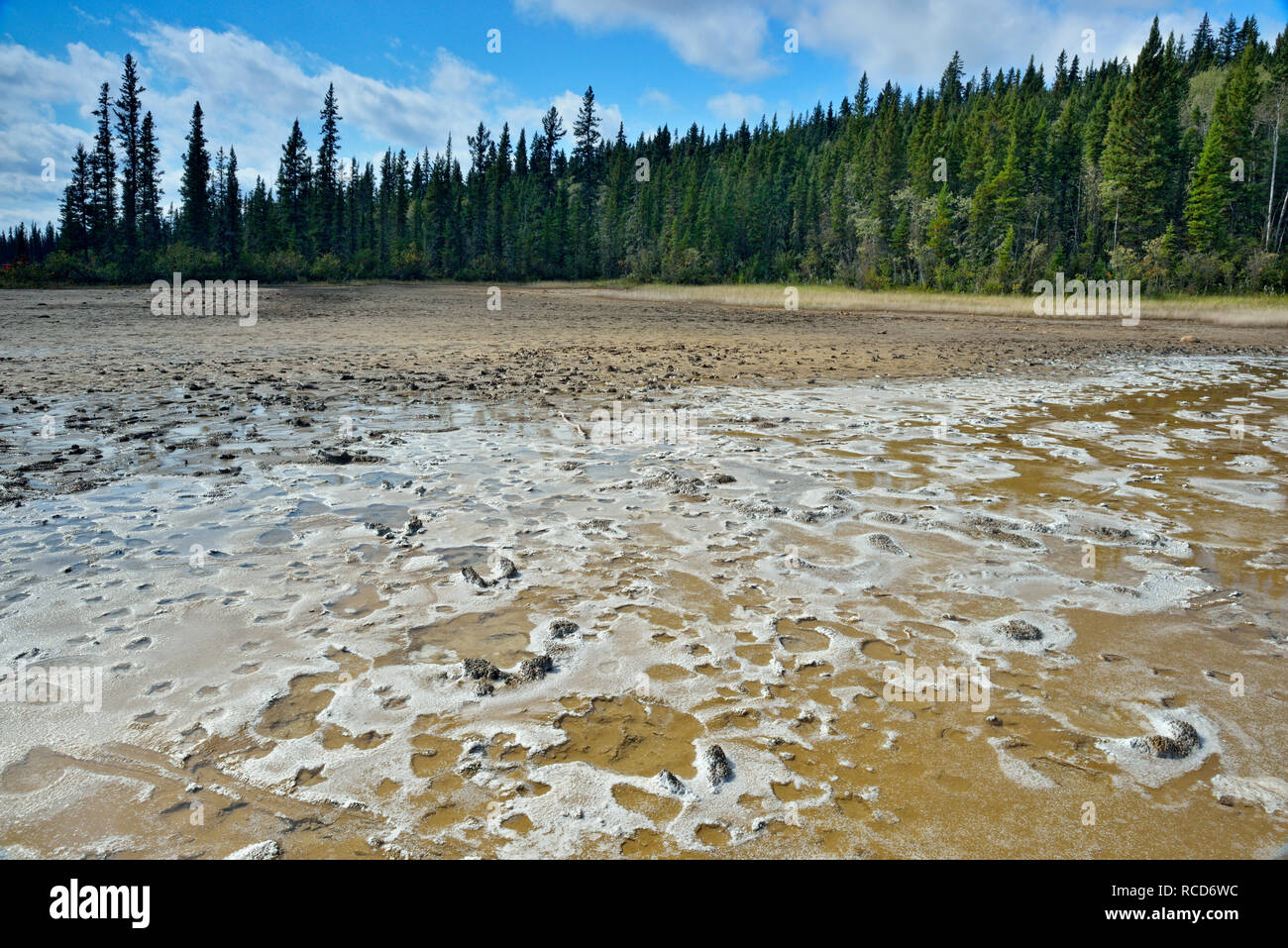 Les dépôts de sel, le parc national Wood Buffalo, Alberta, Canada Banque D'Images