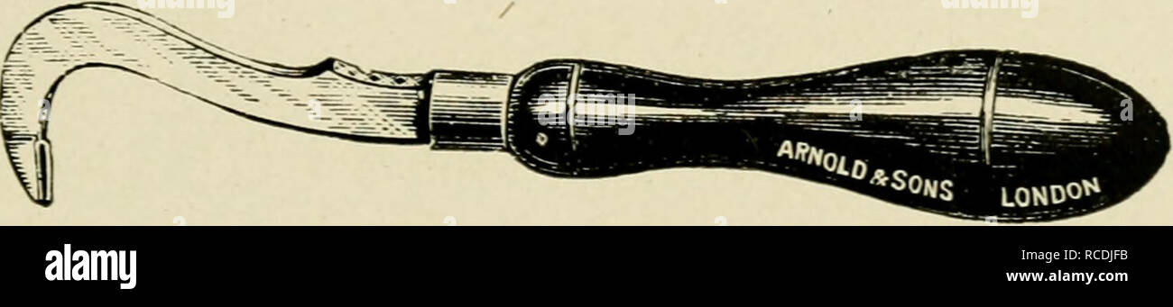. Les maladies du pied du cheval. Les sabots des chevaux ; -- maladies ; les chevaux -- maladies. Les cartilages LATÉRAUX MALADIES OE 375 ( Smith's ). Fig. 146, ou le sabot d'un burin ( Hodder's ), fig. 147. Avec l'avion hoot la rainure dans le mur est faite par une succession de mouvements de grattage à la baisse, tandis que la coupure avec le burin dans le mur est faite soit de bas en haut, ou de haut en bas, selon que le pied est maintenu en avant ou en arrière-selon, en fait, est plus commode. Lorsque vous utilisez le couteau ou le sabot avion il n'est pas souvent. Fig. 145.-Hoof Avion (Smith). que les structures sont sensibles Banque D'Images