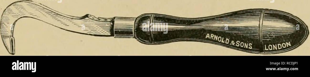 . Les maladies du pied du cheval. Sabots ; chevaux. Les maladies de l'LATEEAL 375 LES CARTILAGES (Smith), fig. 146, ou le sabot d'un burin (Hodder's), fig. 147. Avec le plan des sabots de la gorge du mur est faite par une succession de mouvements de grattage à la baisse, tandis que la coupure avec le burin dans le mur est faite soit de bas en haut, ou de haut en bas, selon que le pied est maintenu en avant ou en arrière-selon, en fait, est plus commode. Lorsque vous utilisez le couteau ou le sabot avion il n'est pas souvent. Fig. 146.-Hoof Avion (Smith). que les structures sensibles sont blessés. Dans tous les cas, toutefois, aucune m Banque D'Images