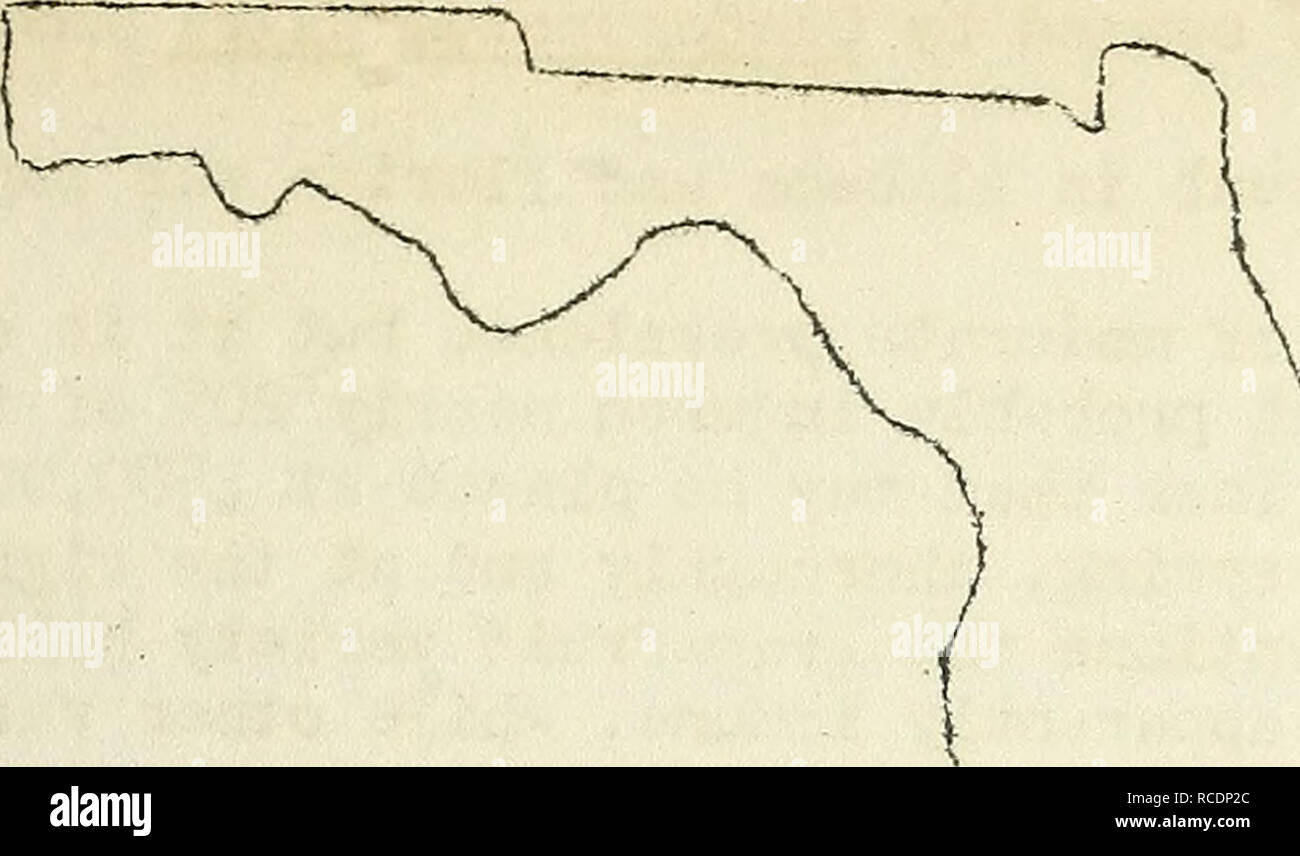 . Les maladies des cultures fruitières dans les États-Unis en 1920. Maladies et ravageurs des fruits United States. 107. V, I Fig. 17. L'anthracnose du e^»^-ft, l'occurrence de fruits I92O selon J, R. Vv ins tonne. Sur le montant moyen de la chaux produite withertip en Floride en I92O, selon J. R. V/inston, l'OMS a estimé à environ 30 % des arbres blessés. La maladie se produit dans la plupart des cas sur la touche ou variétés mexicaines. Cette maladie a été observée dans les Philippines, le Japon et la Chine, par H. Lee Atherton, mais comme les limes ne sont pas commercialement importantes dans ces pays, la maladie n'est pas grave.. Veuillez noter Banque D'Images