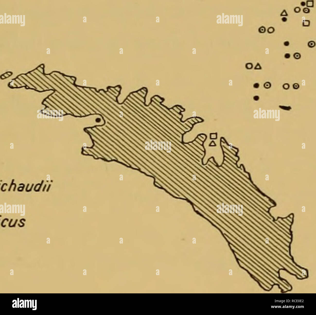 . Rapports de découverte. La découverte (navire) ; les expéditions scientifiques ; océan ; l'Antarctique, îles Falkland. 25 Distribution Le détail des résultats océanographiques doivent encore être publiés, mais elle est suffisante pour notre propos de noter le cours principal des courants et l'bathymetrical dispose. La dérive de l'ouest froid le courant passe par le Détroit de Drake et dans tout le sud de l'Atlantique. La Géorgie du Sud se trouve en travers de son cours ; un fait qui a de très importantes les roulements sur la distribution de l'alimentation des baleines et les baleines (voir Hardy, Geogr.Jonrn., lxxii, septembre 1928). Les îles se trouvent sur le flanc nord de t Banque D'Images