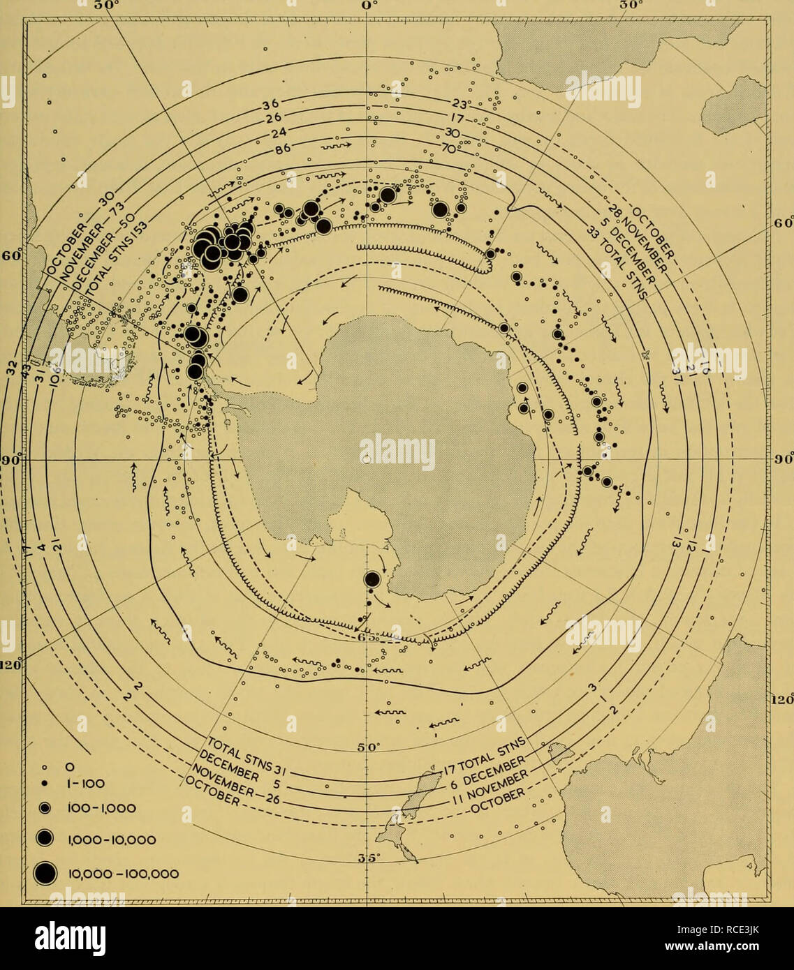 . Rapports de découverte. La découverte (navire) ; les expéditions scientifiques ; océan ; l'Antarctique, îles Falkland. La distribution horizontale, LA CROISSANCE ET LA DYNAMIQUE DE LA DISPERSION 389. Â Â tous les 1 l'ioo®® 1.000 A) 10,000-100 000 J /' &gt ; &gt ; J'&gt ; j 'I' h I' I' J 'I Â ¢ J' j' je vais J ' h i&Lt ; je suis â !â je ''j'ai^r'--rT â'â' / 'â ' ISO" W ISCE 150Â° Fig. 132. La distribution de l'aliment dans l'alimentation des baleines au printemps. Limite des glaces fin décembre moyenne.. Veuillez noter que ces images sont extraites de la page numérisée des images qui peuvent avoir été retouchées numériquement pour plus de lisibilité - coloration et l'apparition de ces illustrations m Banque D'Images