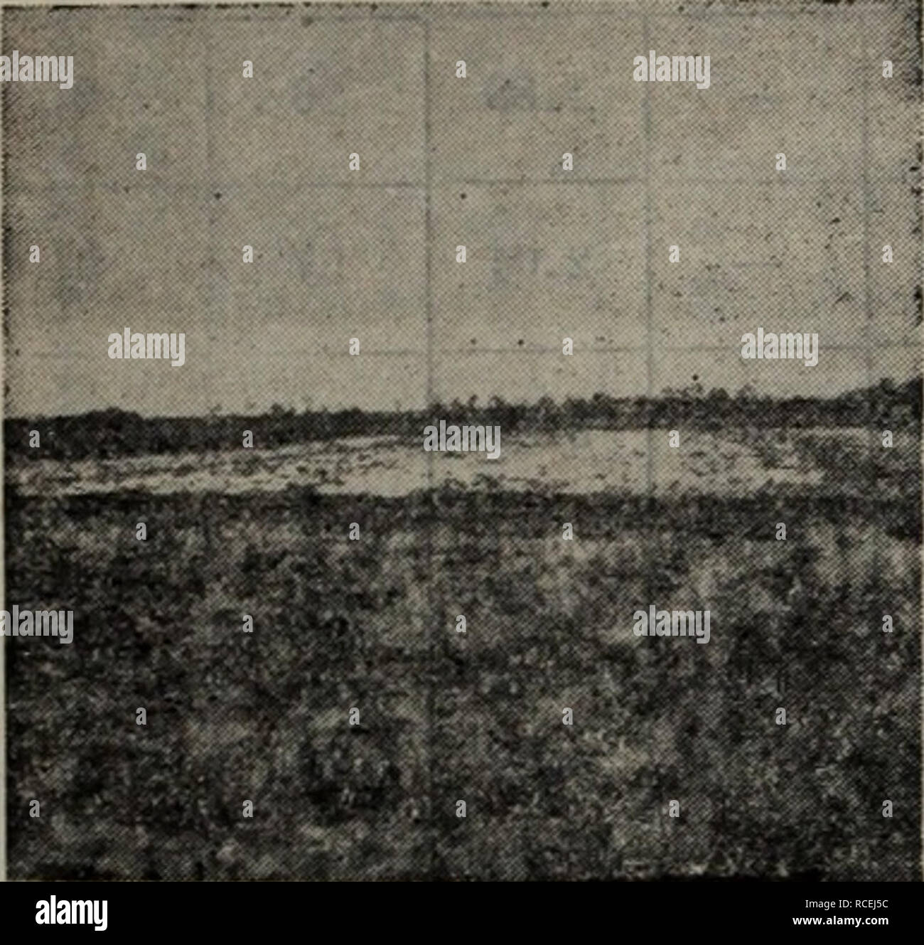 Di Li Xue Zi Liao Botanique 90 A Ca E E N Aaae Ae E 10 C A Aec A I E Cae E A C Caºi Aa 6 1 28 Ae Aº I Ac I Aaca A E A Ae Ph Kcl Aeaeº A Ae E Cµ A A A º