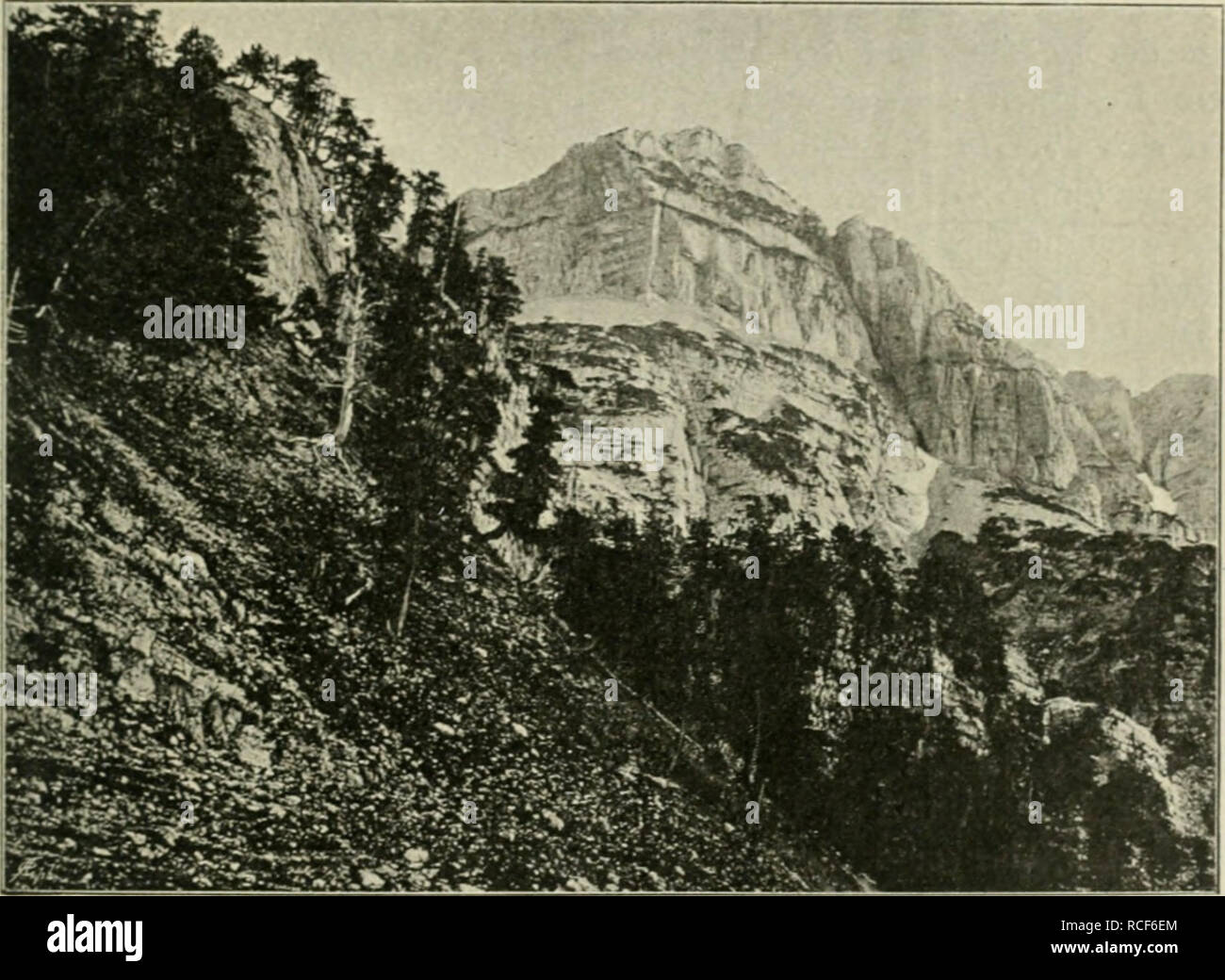 . Die Vegetationsverhältnisse illyrischen begreifend der Länder, Südkroatien Quarnero-Inseln, mourir, Dalmation, Bulgarien und die l'Herzégovine, Monténégro, Nordalbanien, den Sandjak Novipazar Serbien und. La botanique. Nicrtes Chapitre. Je&gt;ie des Vegetationsformationen Berglandes. der höheren u Hochgebirge. 367 Si wie bei allen das J'lochgebirge bewohnenden Pflanzen auch verdient untere Höhengrenze Legföhre die besondere Beachtung der. Auf dem Kraincr ^1706 Schneeberge ni), dessen Abhänge Gebietsgren über unsere/.c reichen, ist nach A. von Kernkr (13, S. 1161 ^hlghus Pinus mit Juniperus nana, Salix arbu Banque D'Images