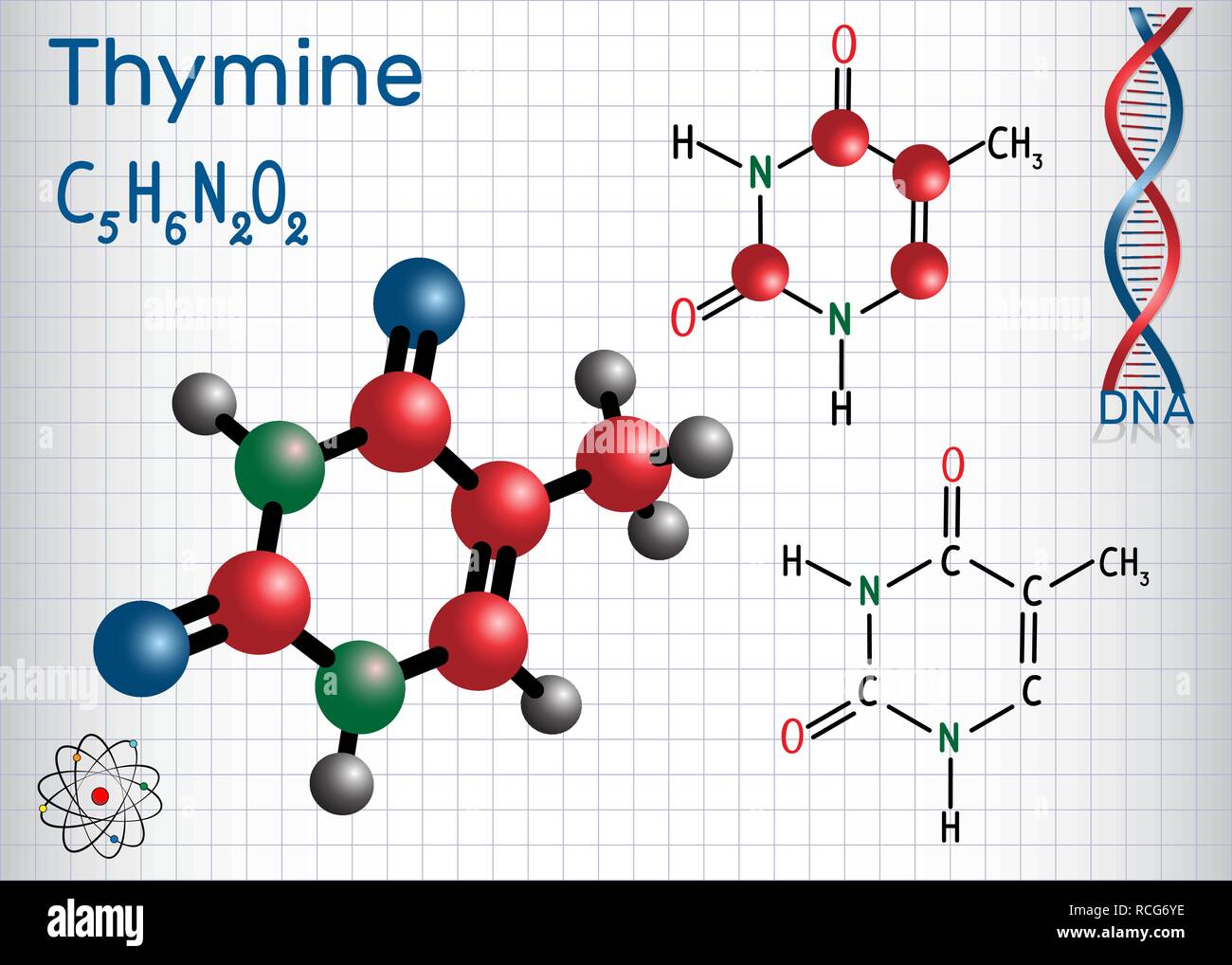 La thymine (ta) - pyrimidine nucléobase, unité fondamentale du code génétique dans l'ADN et l'ARN. Feuille de papier dans une cage. Formule chimique et structurale Illustration de Vecteur