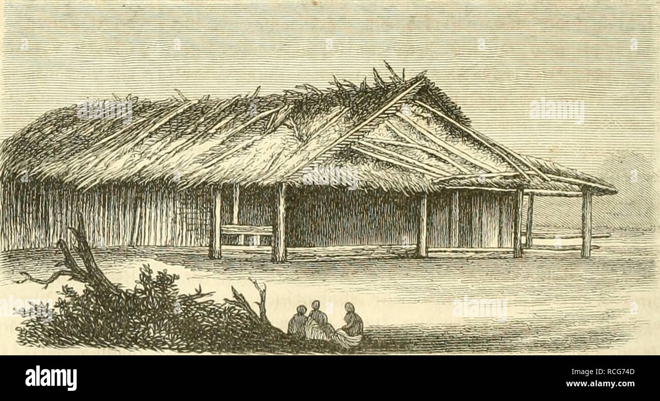 Die Natur L Histoire Naturelle 76 Ebalbungen Cilcn Une n Eljnngcn Ofttriebfn Biiba C A N Mag 2 Mn Ba Et Ebenfo Auf A C Ranit Mif Auf A Ncnit Fidnpocpl Auf Gelb Rr 2 Unb T Onfcbiffi Ssafalt R