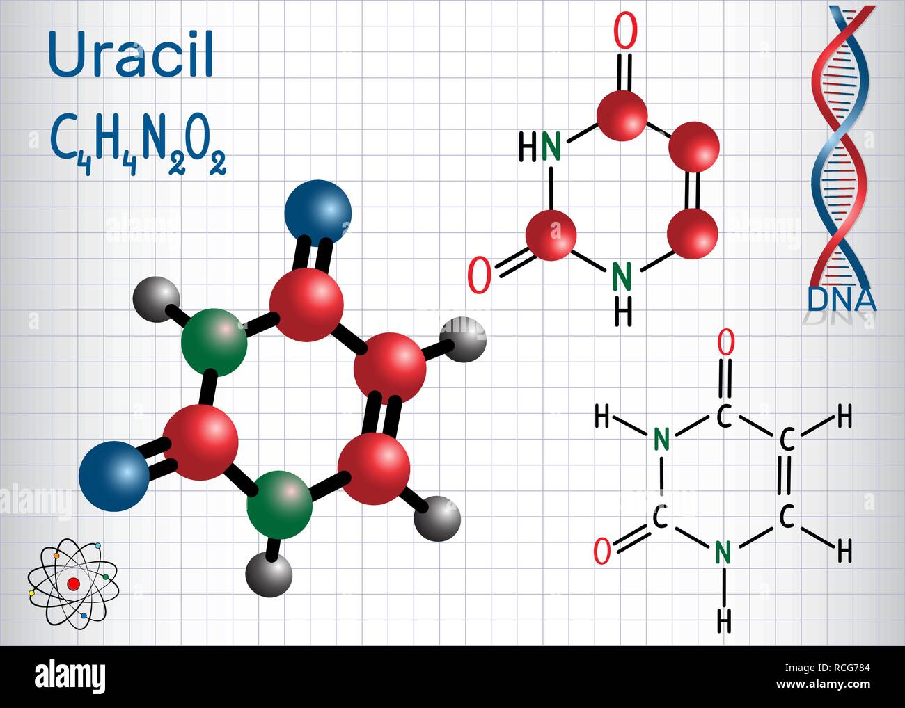 L'uracile (U) - dans la nucléobase pyrimidiques acide nucléique des ARN. Formule chimique structurale et molécule modèle. Feuille de papier dans une cage. Vector illu Illustration de Vecteur
