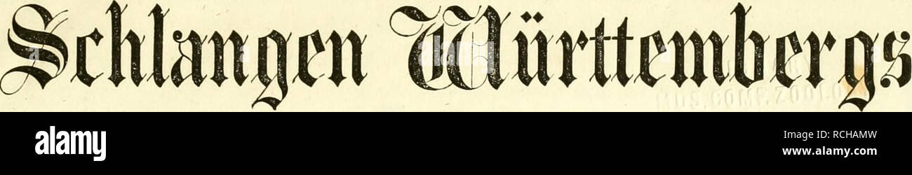 . Die Schlangen, WÃ¼rttembergs landwirthschaftliche Fortbildungs- und fÃ¼r, Abendschulen Realanstalten, lateinische Volksschulen und. ^ie. für Innt)ss)trtl;j(^aftlt gortbiIbuugö^c( = iinb 51knbf uleu(^icalanftalten loteinifc, 9e^teartcitet, j ?Dn'Ivie) ifvifü^ ; 0 d), l'e^^j rer dans l'nteriuicf Äcnii^ireicß gi) äßiirrtem&amp;erg. 3Uit fec s Cafctu lüOiföimgcii§^dans tfurßciiörucfe. ©tuttgttrt. 3&gt;crlai3 ber 3. 3 ?. 9) ? C ^ (ci'f *cii S ?ii * fMinb lu ng. 1862.. Veuillez noter que ces images sont extraites de la page numérisée des images qui peuvent avoir été retouchées numériquement pour plus de lisibilité - coloration et l'ap Banque D'Images